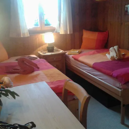 Edelweiss Bed and breakfast Zweisimmen
