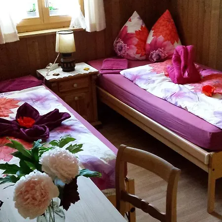 Bed & Breakfast Edelweiss Zweisimmen