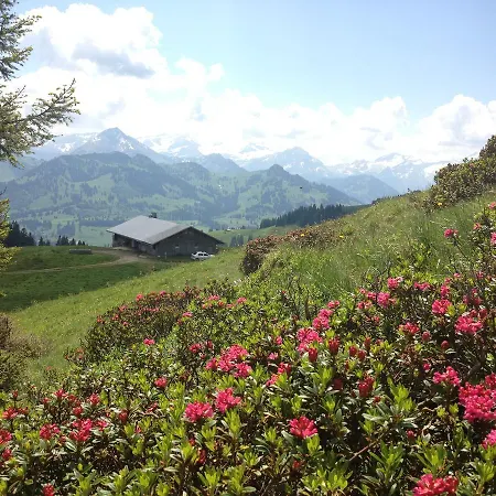 Bed & Breakfast Edelweiss Zweisimmen