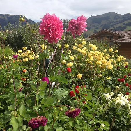 Edelweiss Frühstückspension Zweisimmen